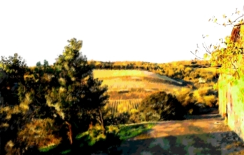 Casellare landscape 1 greens560